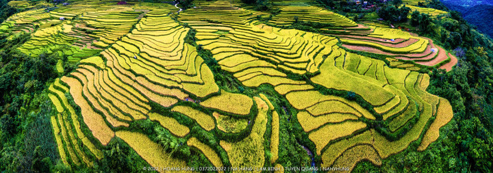 Tọa độ ngắm ruộng bậc thang đẹp rực rỡ và đầy thanh bình ở Tuyên Quang - 1