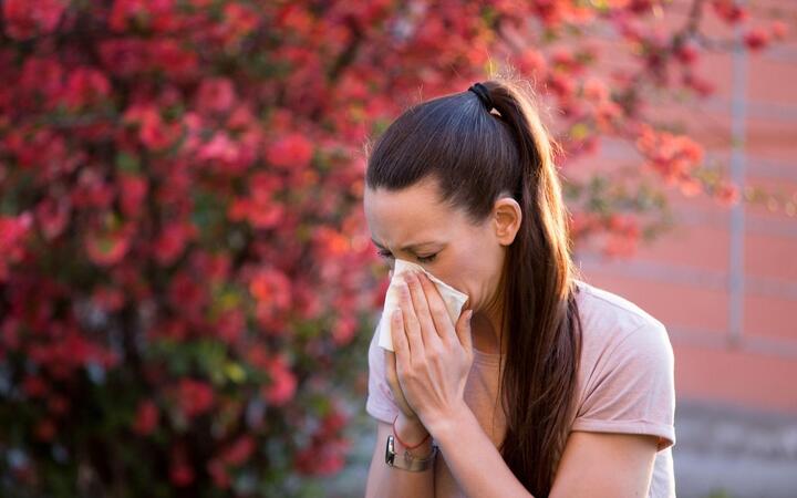 Viêm phổi và viêm phế quản khác nhau thế nào? - 1