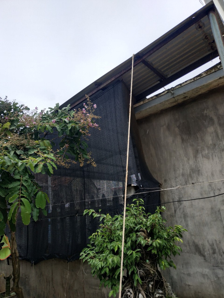 Ảnh: Người dân Bình Định chằng chéo nhà cửa, tàu thuyền ứng phó với siêu bão - 6