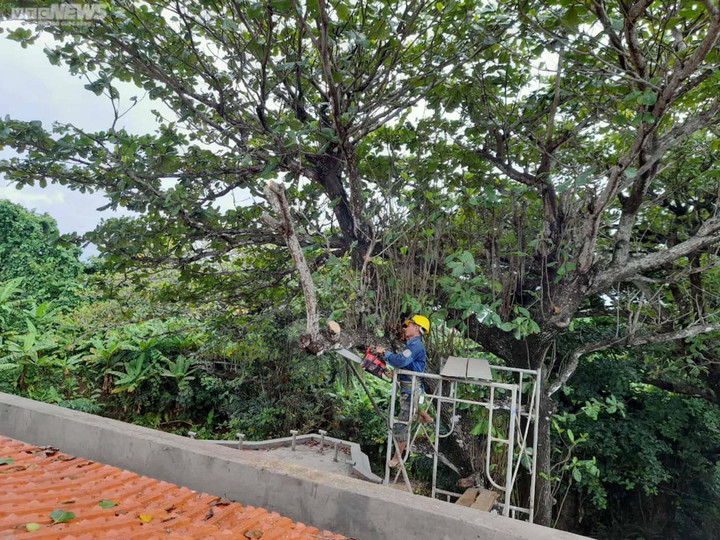 Ảnh: Công an, biên phòng giúp dân Huế và Quảng Trị chống siêu bão Noru - 7