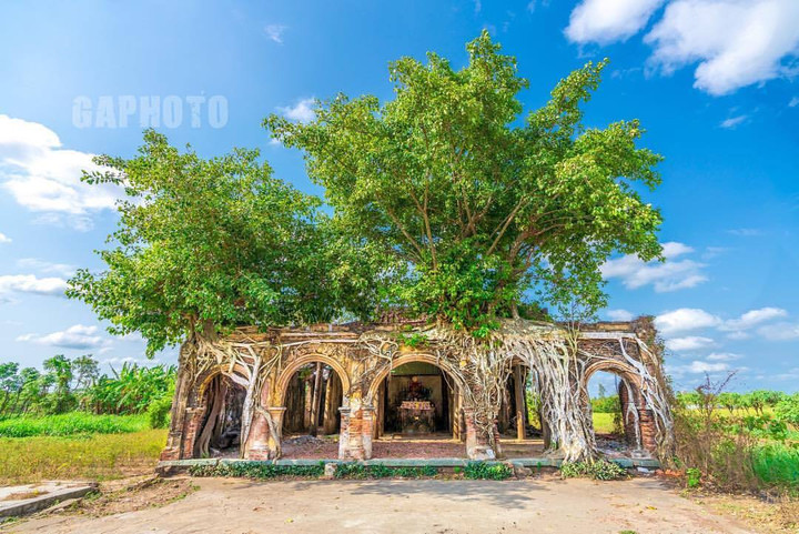 Vẻ cổ kính bí ẩn ở ngôi đình trăm tuổi ‘hợp nhất’ với cây bồ đề - 1