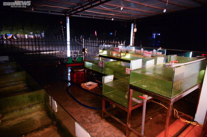 Siêu bão Noru áp sát đất liền: Nước biển dâng cao, dân Huế không dám ra khỏi nhà - 6