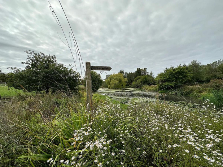 So sánh iPhone 14 Pro và iPhone 13 Pro: Dynamic Island có tạo nên sự khác biệt? - 4