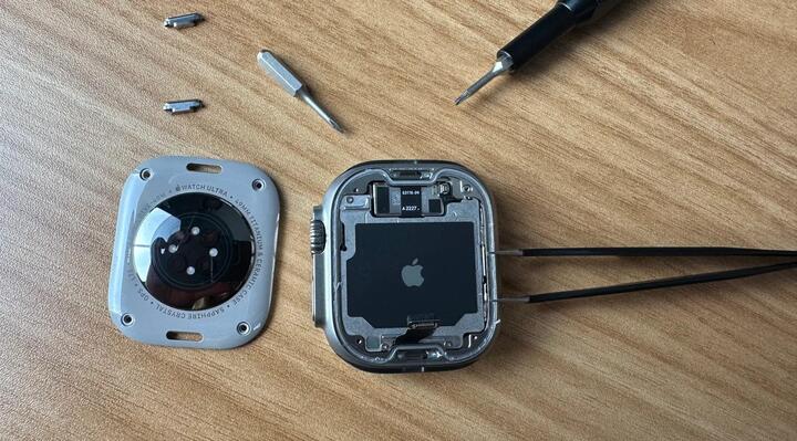 Bên trong chiếc Apple Watch đắt ngang iPhone - 2