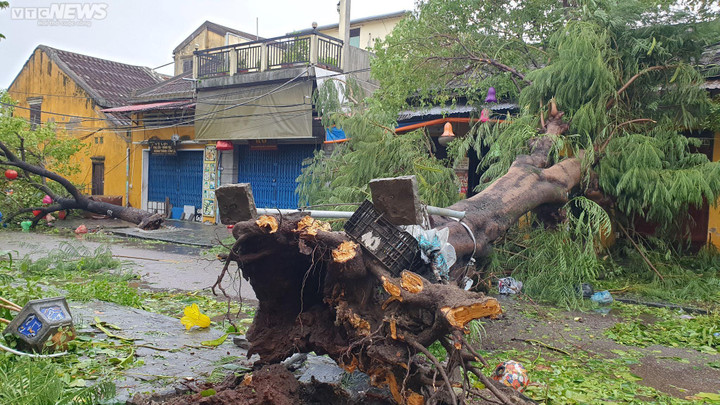 Trực tiếp: Những hình ảnh tan hoang sau bão sáng 28/9 - 16