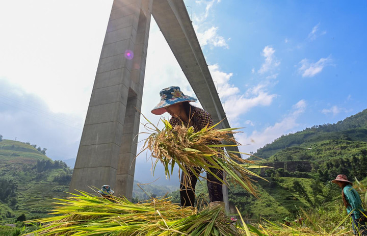 Cận cảnh cây cầu cạn có trụ cao nhất Việt Nam - 14