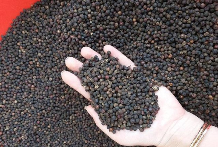 Giá tiêu hôm nay 30/9: Đi ngang, cao nhất ở mức 66.000 đồng/kg - 1