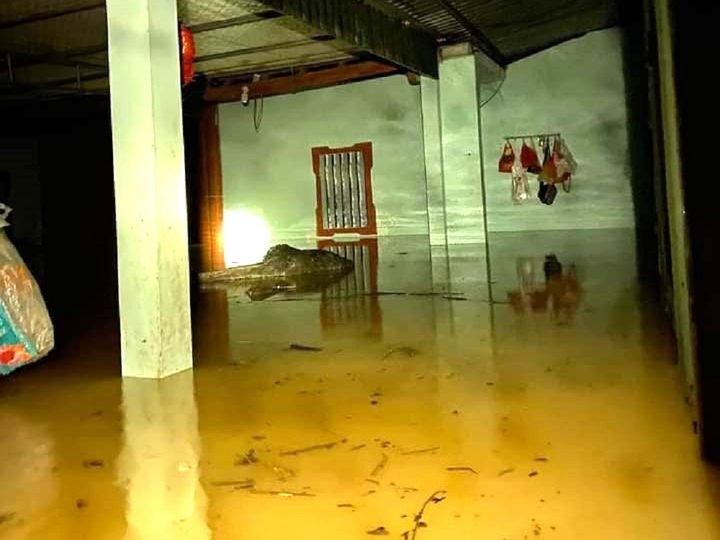 Ảnh: Mưa trắng trời, nhiều nơi ở Nghệ An bị ngập sâu - 10
