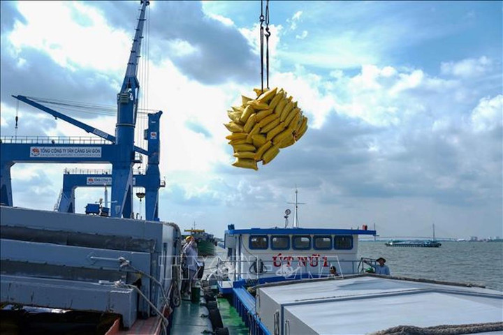 Báo Italy: Con hổ châu Á mới trong năm 2022 sẽ là Việt Nam - 1