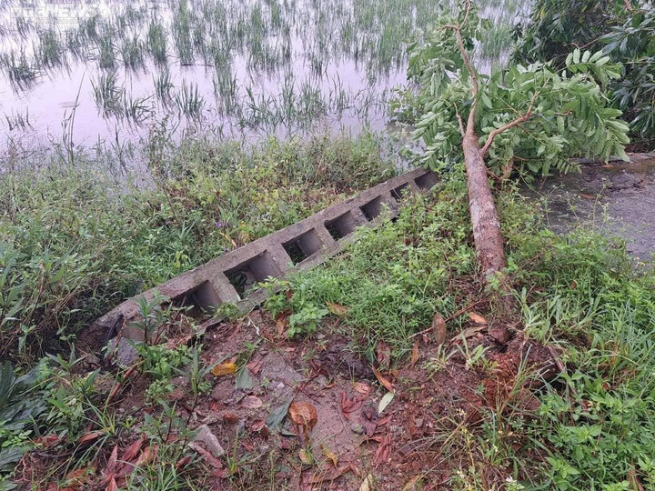 Ảnh: Lốc xoáy trong đêm cuốn bay nhiều mái nhà dân ở Hà Tĩnh - 7