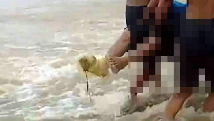 Tìm thấy thi thể hai vợ chồng bị lũ cuốn trôi - 1