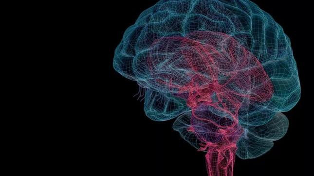 Những lợi ích của kẽm và dấu hiệu khi cơ thể thiếu hụt kẽm - 2