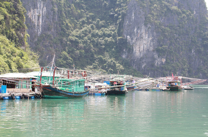 Quảng Ninh: Tàu cá chìm trong cơn mưa lớn, hai mẹ con ngư dân tử nạn - 1
