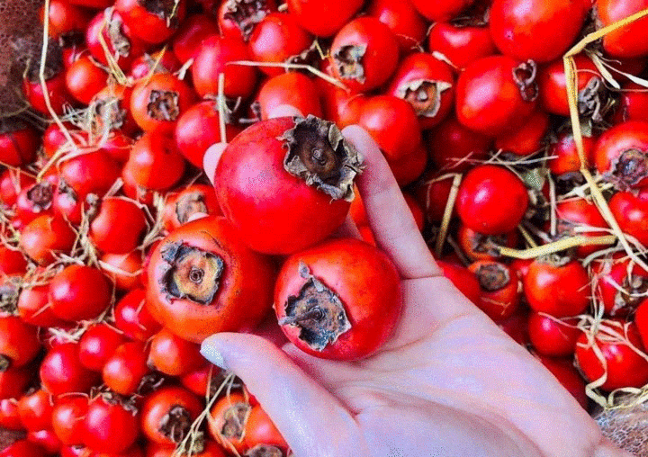 Hồng cổ đỏ chót như cà chua bi, dân Hà thành ồ ạt chốt đơn - 1