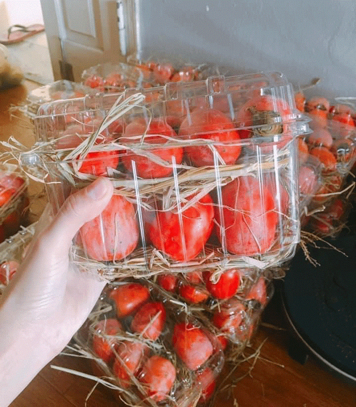 Hồng cổ đỏ chót như cà chua bi, dân Hà thành ồ ạt chốt đơn - 3