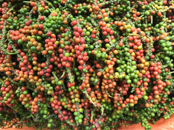 Giá tiêu hôm nay 4/10: Đi ngang, thấp nhất 63.000 đồng/kg - 1