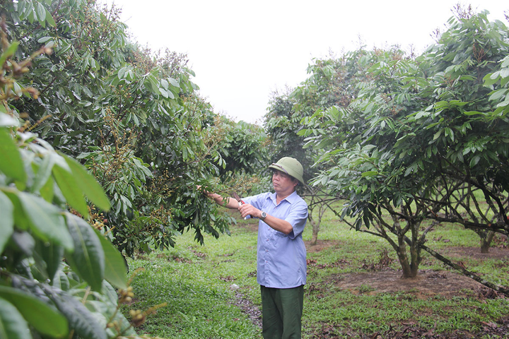 Sản xuất nông nghiệp công nghệ cao và bền vững tại Hòa Bình - 1