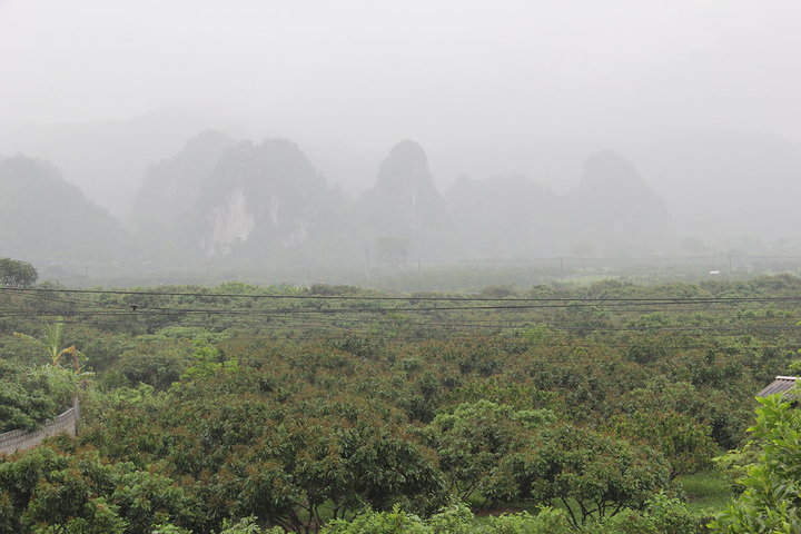 Sản xuất nông nghiệp công nghệ cao và bền vững tại Hòa Bình - 2