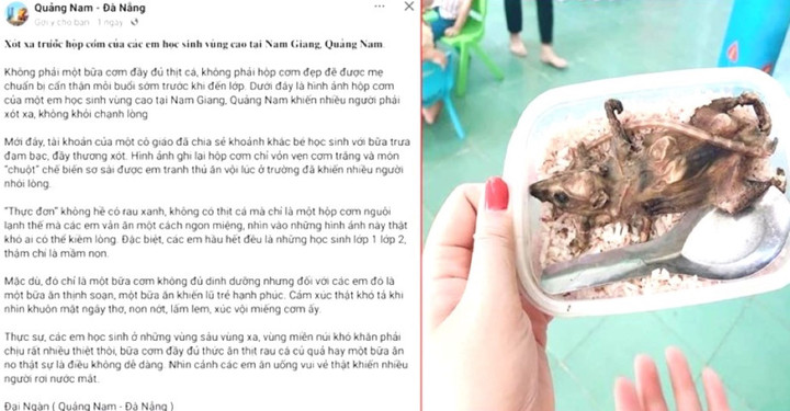 Đăng tin học sinh ăn cơm với thịt chuột, người đàn ông bị phạt 7,5 triệu đồng - 1