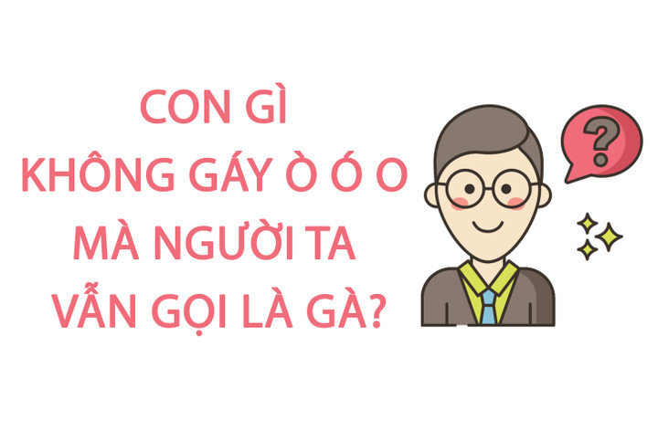 Con gì không gáy ò ó o mà người ta vẫn gọi là gà? - 1