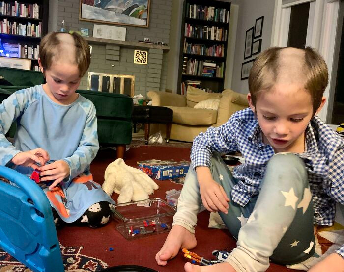 Thảm cảnh khi gia đình trót nuôi phải hội 'báo con', nhìn mà tức phát khóc - 2