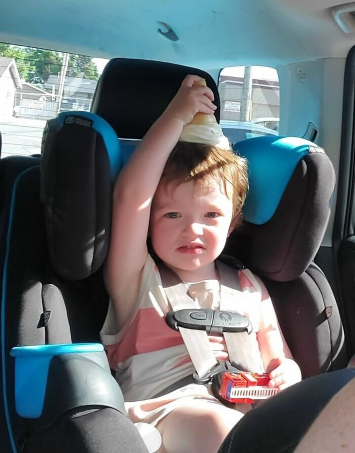 Thảm cảnh khi gia đình trót nuôi phải hội 'báo con', nhìn mà tức phát khóc - 3