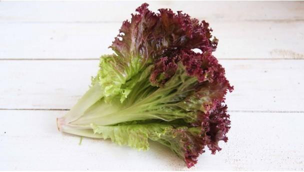 Những người nên tránh xa rau xà lách kẻo ‘rước thêm bệnh vào người’ - 1