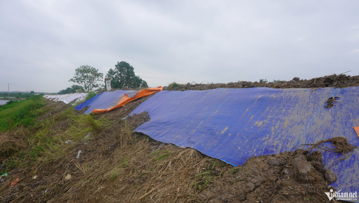 Đê sông Mã sụt lún đe dọa hơn 29.000 dân ở Thanh Hóa - 2