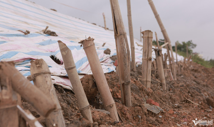 Đê sông Mã sụt lún đe dọa hơn 29.000 dân ở Thanh Hóa - 3