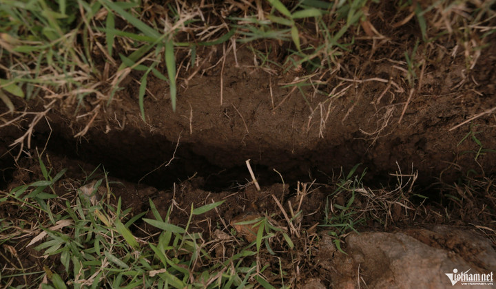 Đê sông Mã sụt lún đe dọa hơn 29.000 dân ở Thanh Hóa - 4