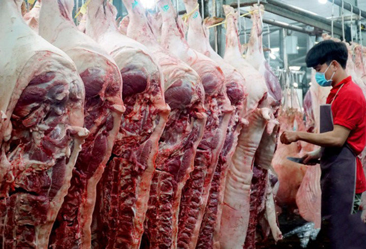 Giá heo hơi hôm nay 9/10: Tiếp tục biến động trái chiều 1.000 – 3.000 đồng/kg - 2