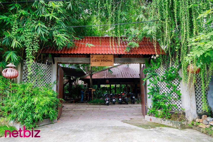 Johnny Trí Nguyễn sống trong căn nhà lá nhưng lại có bộ sưu tập ít ai ngờ tới - 2