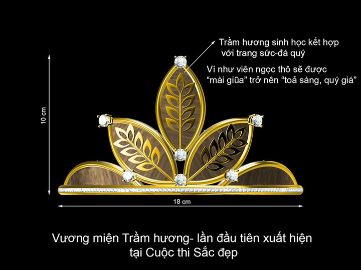 Dàn người đẹp Hoa khôi Nam Bộ khoe hình thể khi trình diễn bikini - 1