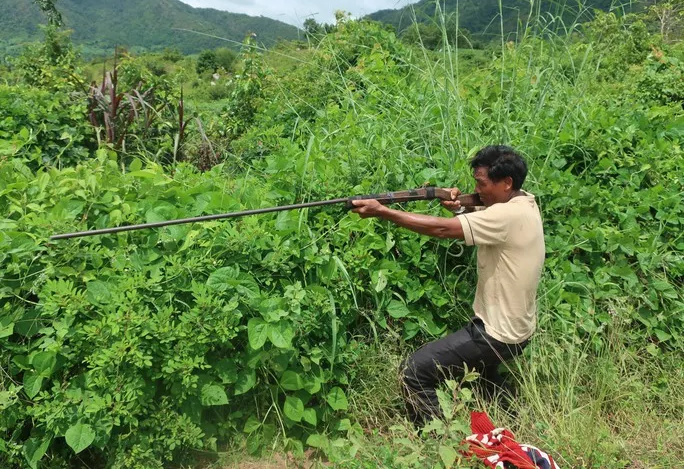 Đi bẫy gà không may bị người săn thú bắn thiệt mạng - 1