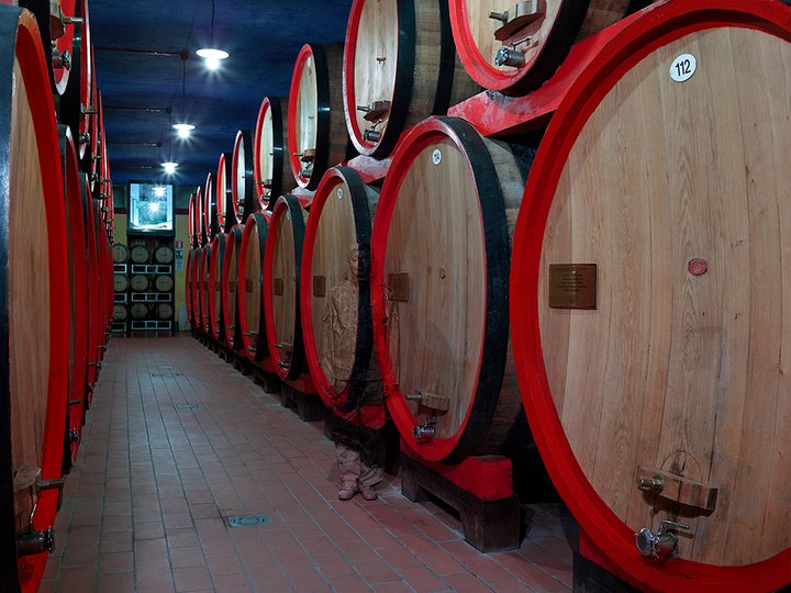 Kinh ngạc nam nghệ sĩ sở hữu khả năng ‘tàng hình’ trước mắt mọi người - 7