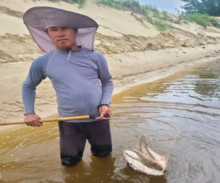 Sét đánh chết hơn 3 tấn cá của ngư dân Quảng Bình - 1