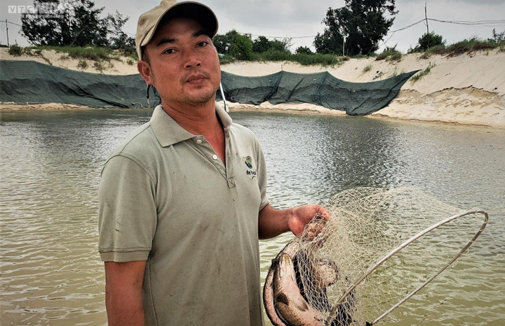 Nông dân ở Quảng Bình trắng tay sau trận dông sét làm chết hơn 3 tấn cá lóc - 3
