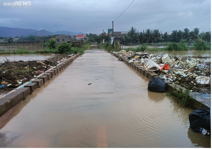 Bình Định, Phú Yên: Mưa lớn, nhiều nơi chìm trong biển nước - 1