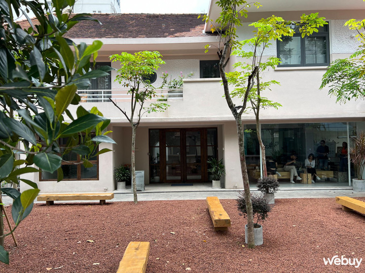 Bức ảnh này là minh chứng cho thấy không phải cứ 200MP là tốt - 6