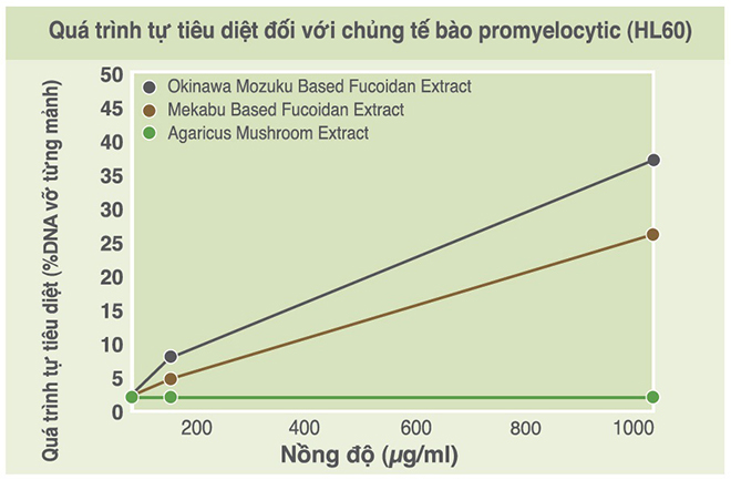 Vai trò của tảo nâu Mozuku trong lĩnh vực y khoa - 2