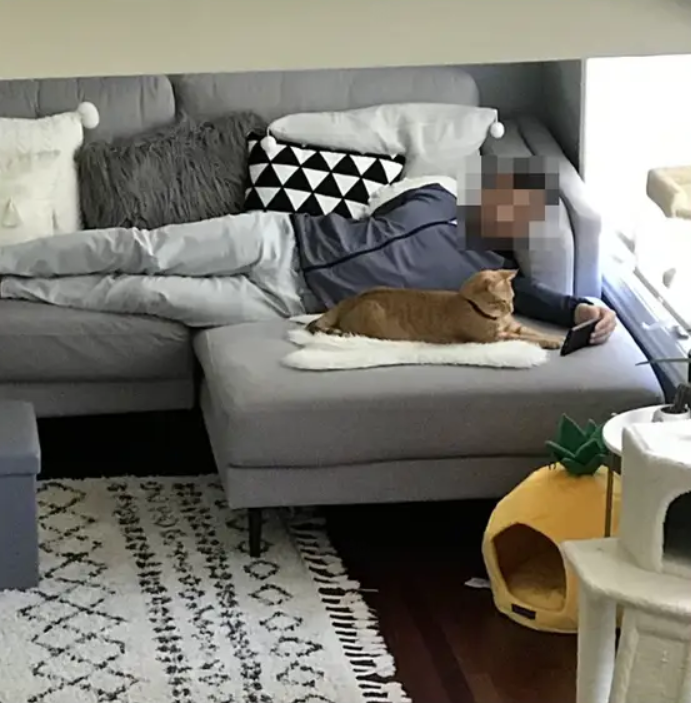 Cảnh bố mẹ cưng ‘boss’ hết nấc khiến các bạn trẻ ngậm ngùi nhận là ‘con ghẻ’ - 4