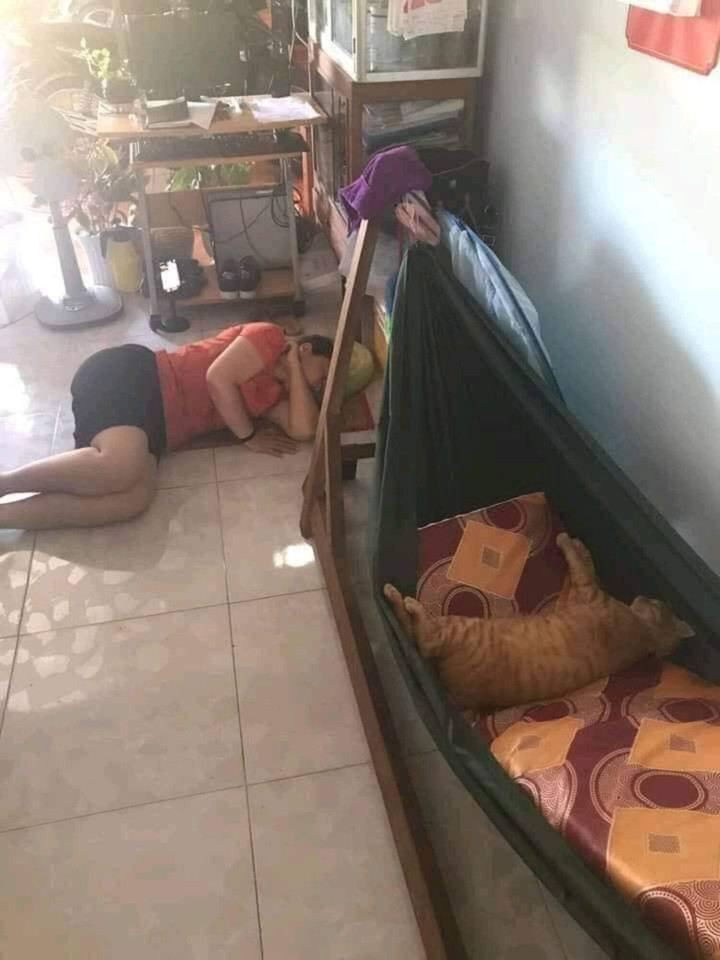 Cảnh bố mẹ cưng ‘boss’ hết nấc khiến các bạn trẻ ngậm ngùi nhận là ‘con ghẻ’ - 6