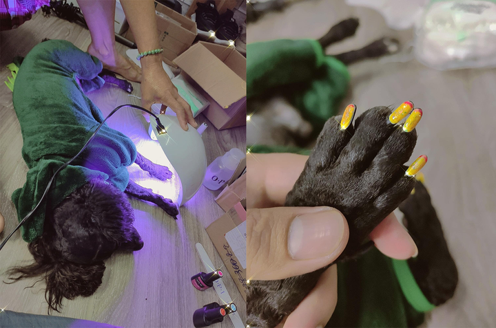 Cảnh bố mẹ cưng ‘boss’ hết nấc khiến các bạn trẻ ngậm ngùi nhận là ‘con ghẻ’ - 10