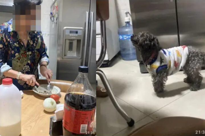 Cảnh bố mẹ cưng ‘boss’ hết nấc khiến các bạn trẻ ngậm ngùi nhận là ‘con ghẻ’ - 9