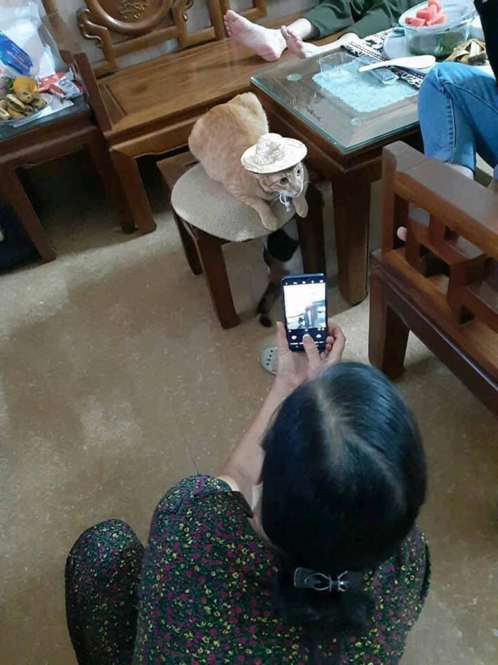 Cảnh bố mẹ cưng ‘boss’ hết nấc khiến các bạn trẻ ngậm ngùi nhận là ‘con ghẻ’ - 3