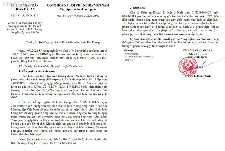 Cánh rừng ngập mặn ở Hải Phòng chết khô: Quận và Sở đẩy trách nhiệm cho nhau - 2