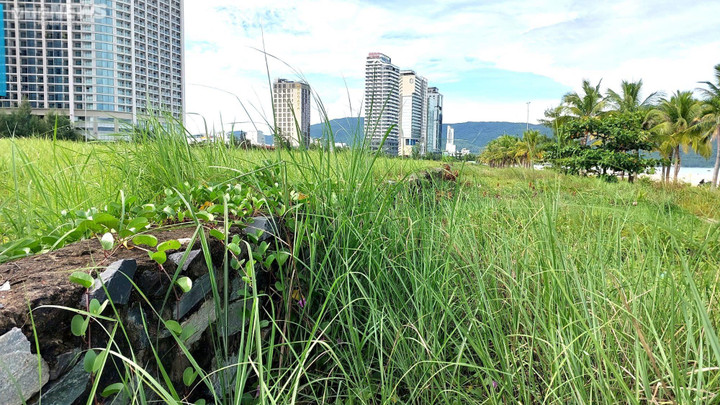 Ảnh: Loạt dự án nằm trên đất vàng Đà Nẵng ‘ngâm’ hàng chục năm - 8
