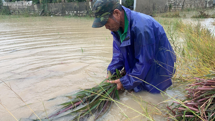 Quy Nhơn: Nỗi lo sau những ngày bị cô lập do mưa lũ - 2