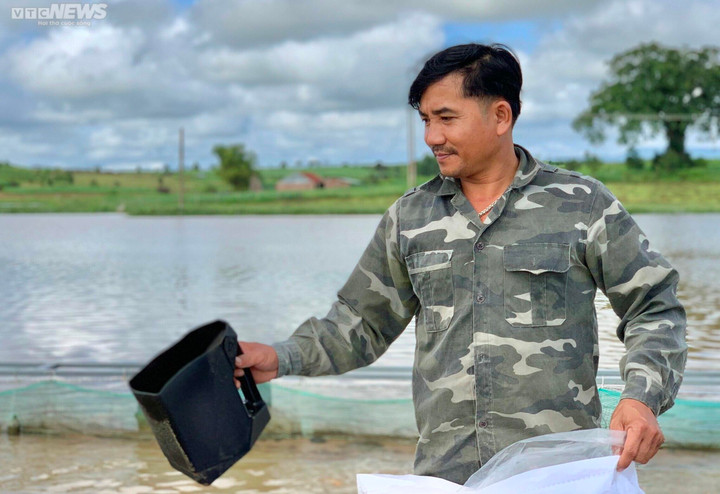 Ảnh: Đổ xô nuôi cá trên hồ thủy điện, người dân thu lãi nửa tỉ đồng mỗi năm - 3