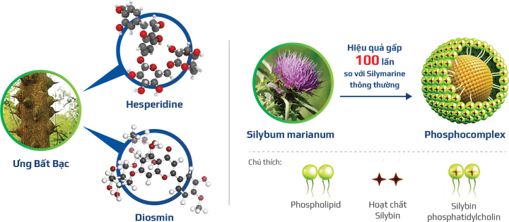 Heposal hiệu quả toàn diện, chuyên biệt cho người bệnh gan - 2